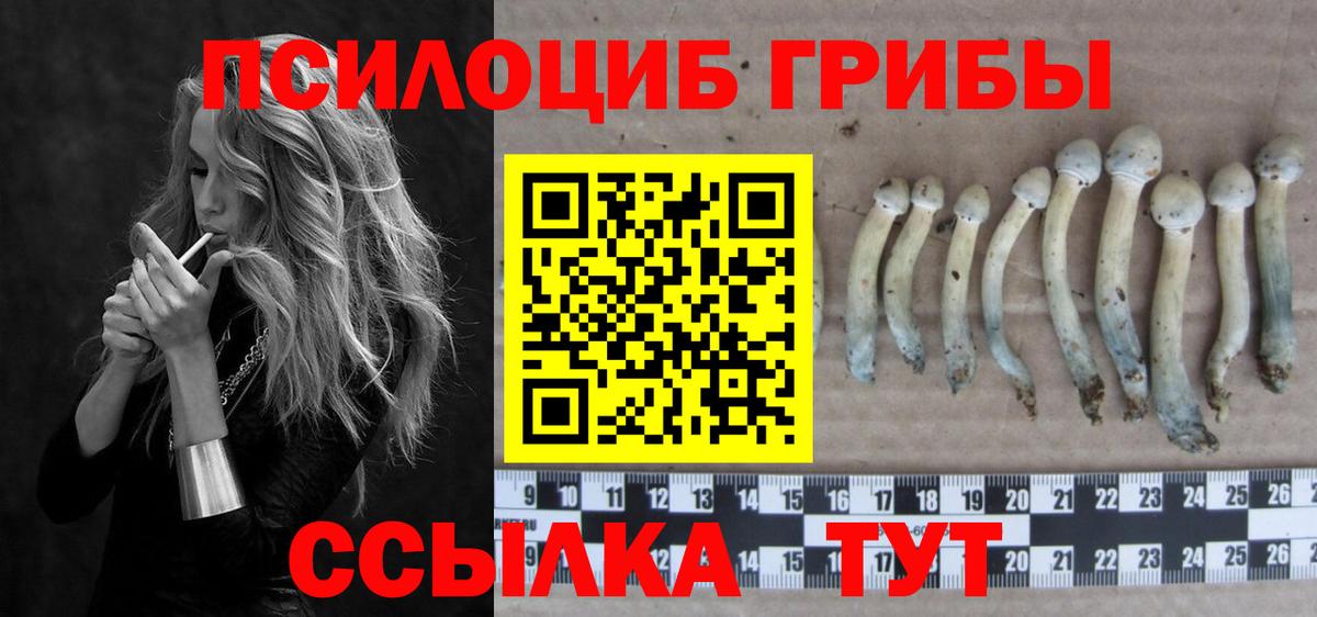 Псилоцибиновые грибы GOLDEN TEACHER Хасавюрт